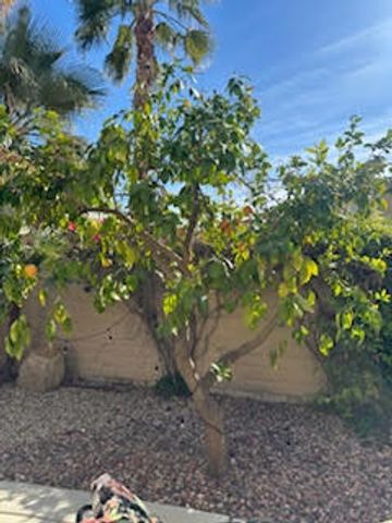 81919 Avenida Bienvenida, Indio, CA 92203
