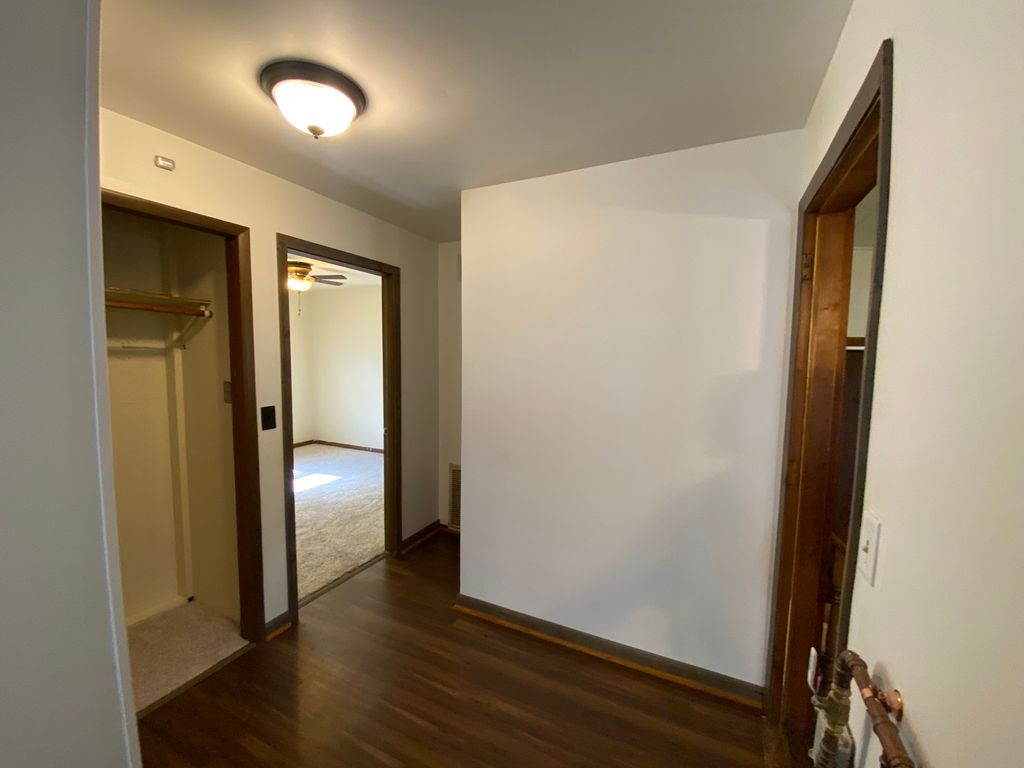 207 N Conrad Street, Peotone, IL 60468 — photo 4