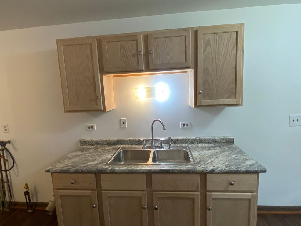 207 N Conrad Street, Peotone, IL 60468 — photo 5