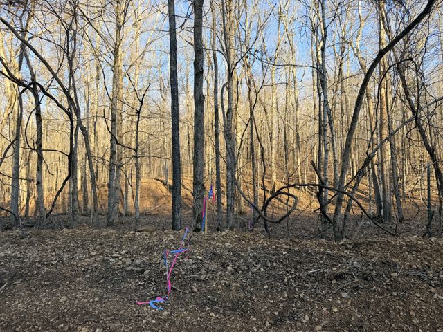 2 John Ross Hollow Rd, Erin, TN 37061