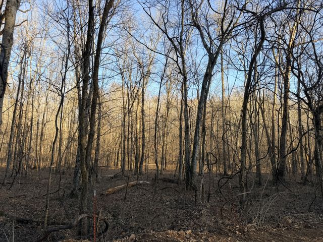 2 John Ross Hollow Rd, Erin, TN 37061