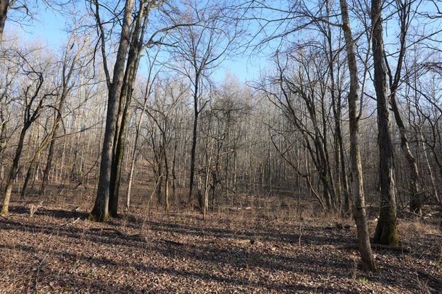 2 John Ross Hollow Rd, Erin, TN 37061