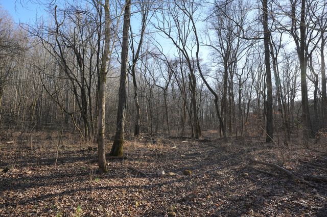 2 John Ross Hollow Rd, Erin, TN 37061