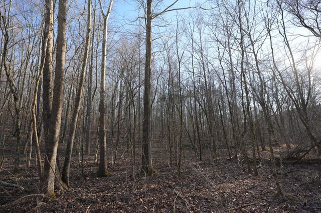 2 John Ross Hollow Rd, Erin, TN 37061