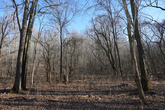 2 John Ross Hollow Rd, Erin, TN 37061