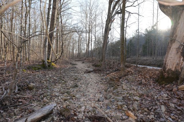 2 John Ross Hollow Rd, Erin, TN 37061