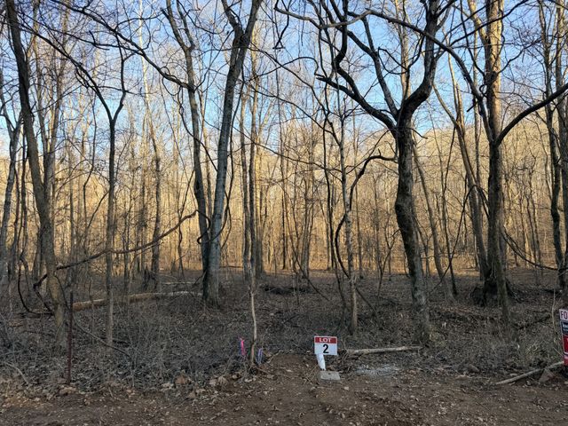 2 John Ross Hollow Rd, Erin, TN 37061