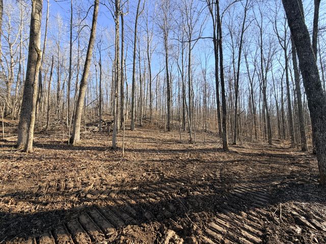 2 John Ross Hollow Rd, Erin, TN 37061