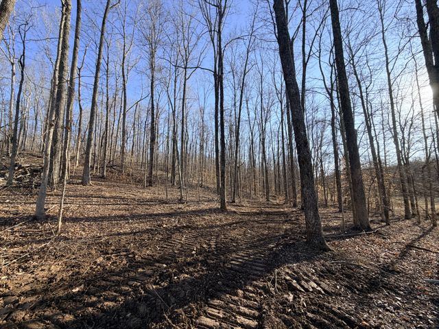 2 John Ross Hollow Rd, Erin, TN 37061