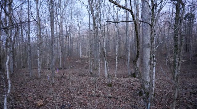 2 John Ross Hollow Rd, Erin, TN 37061