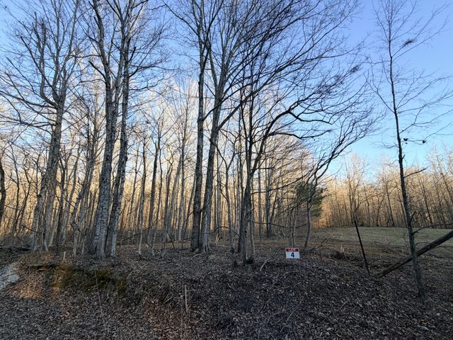 2 John Ross Hollow Rd, Erin, TN 37061