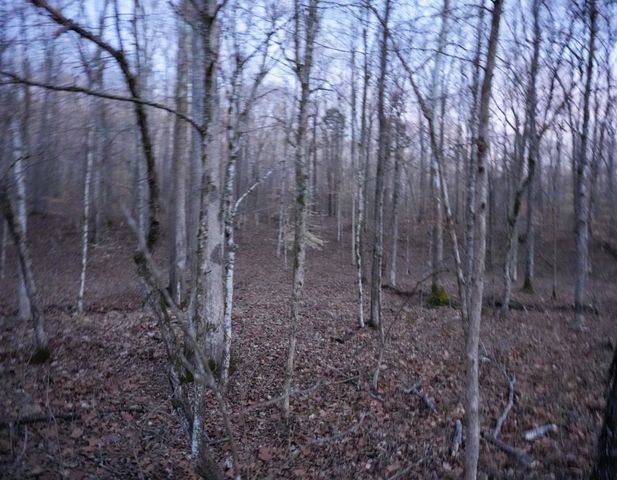 2 John Ross Hollow Rd, Erin, TN 37061