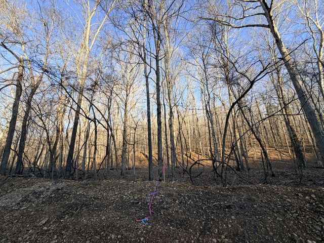 2 John Ross Hollow Rd, Erin, TN 37061