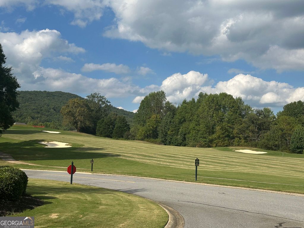 0 Glazenwood Drive LOT 5, Clarkesville, GA 30523 — photo 4