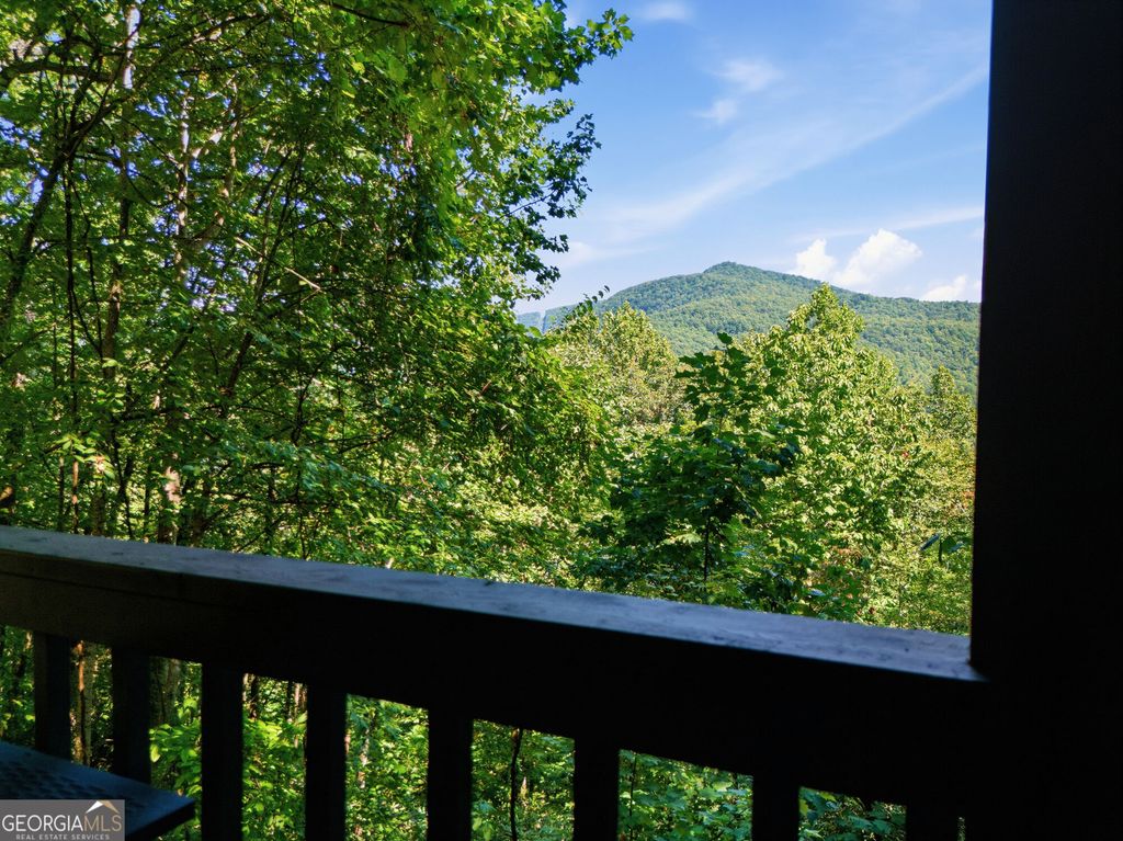445 Orchid Trail, Clayton, GA 30525 — photo 4