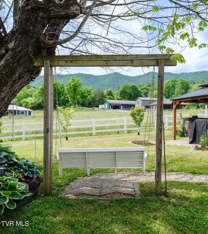 1036 Rittertown Road, Hampton, TN 37658