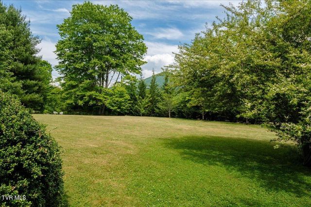 1036 Rittertown Road, Hampton, TN 37658