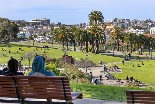 25 Sycamore Street, San Francisco, CA 94110