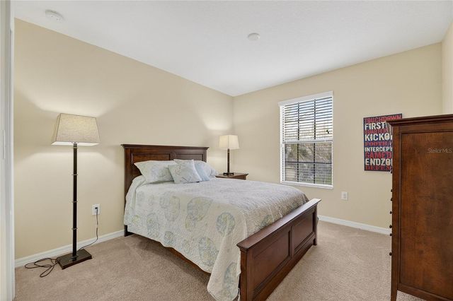 20041 SATIN LEAF AVENUE, Tampa, FL 33647