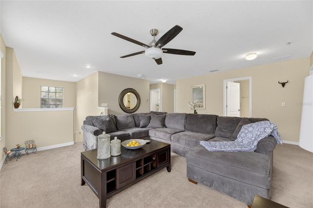 20041 SATIN LEAF AVENUE, Tampa, FL 33647