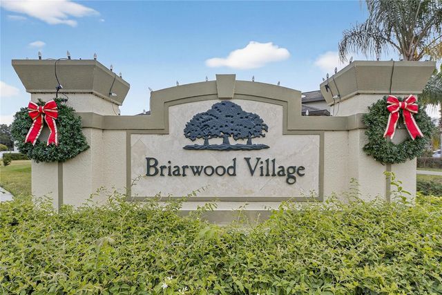 20041 SATIN LEAF AVENUE, Tampa, FL 33647