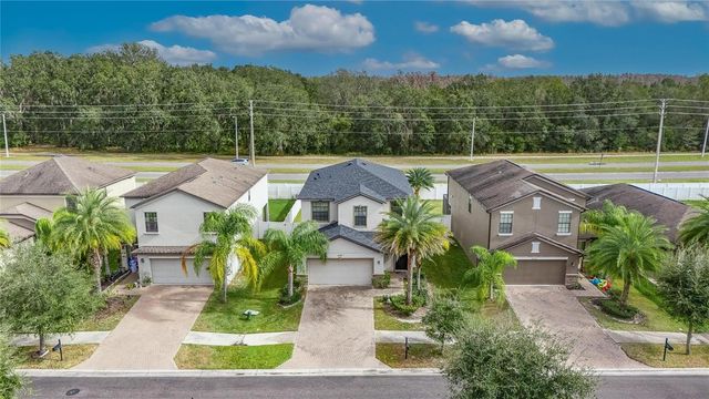 20041 SATIN LEAF AVENUE, Tampa, FL 33647