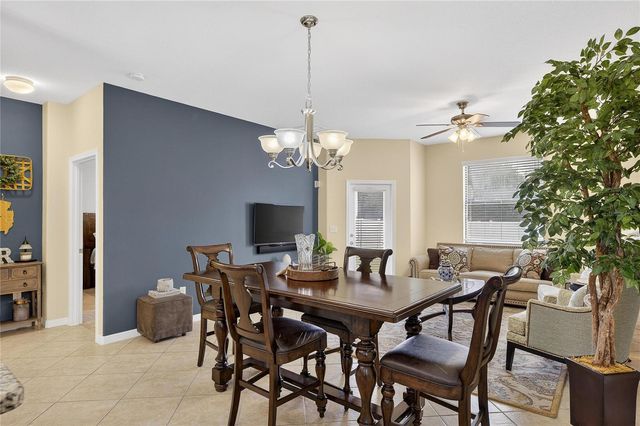 20041 SATIN LEAF AVENUE, Tampa, FL 33647