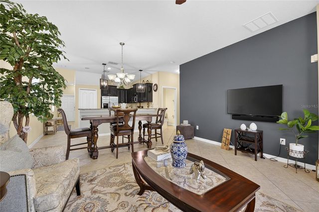 20041 SATIN LEAF AVENUE, Tampa, FL 33647