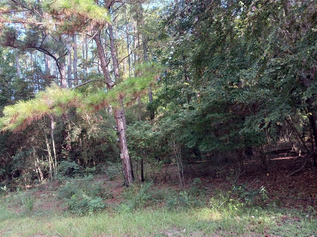 Lot 11 Walnut Grove Drive, Magnolia, TX 77355