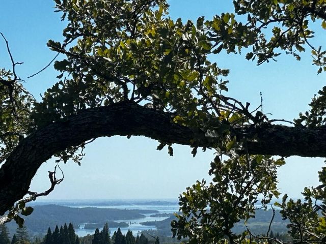 1262 Grizzly Flat Ct, Auburn, CA 95603