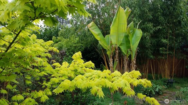 30028 51st Court S, Auburn, WA 98001