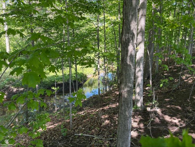 8872 Bryce Road, Kenockee, MI 48006