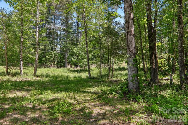 36 Haywood Crossing Drive, Hendersonville, NC 28791