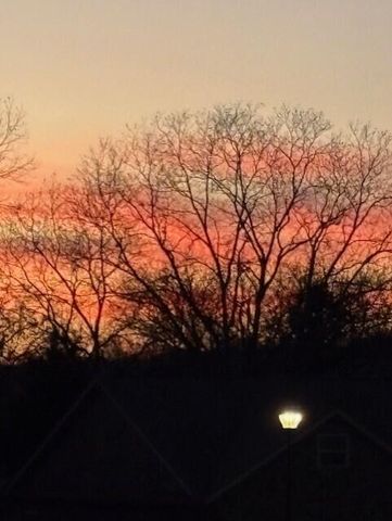 118 Hillhouse Lane, Ringgold, GA 30736