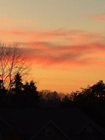 118 Hillhouse Lane, Ringgold, GA 30736