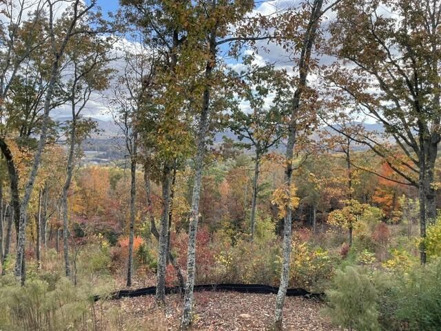 Lot 129 Winding Ridge, Blairsville, GA 30512
