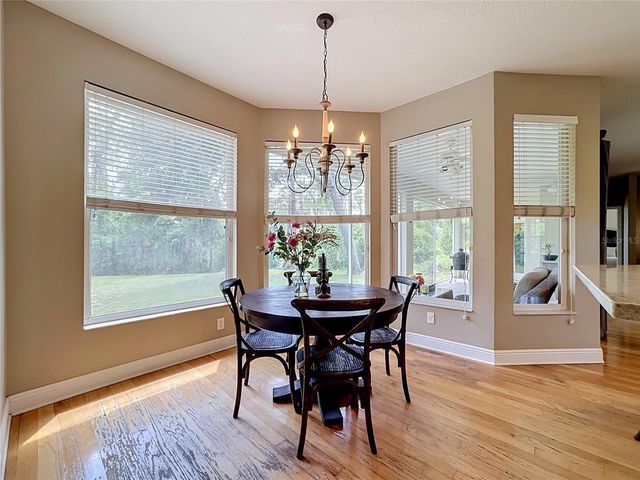 11319 TRALEE DRIVE, Riverview, FL 33569