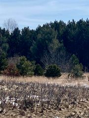 7430 Rapid City Road, Clearwater Twp, MI 49676