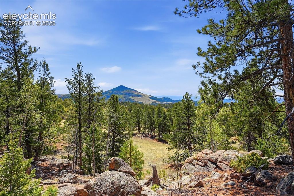 7070 County Road 1, Cripple Creek, CO 80813 — exterior