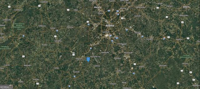 46 Lullwater Court, Sharpsburg, GA 30277