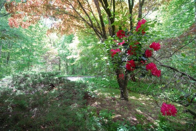 131 Nowell Farme Road, Carlisle, MA 01741