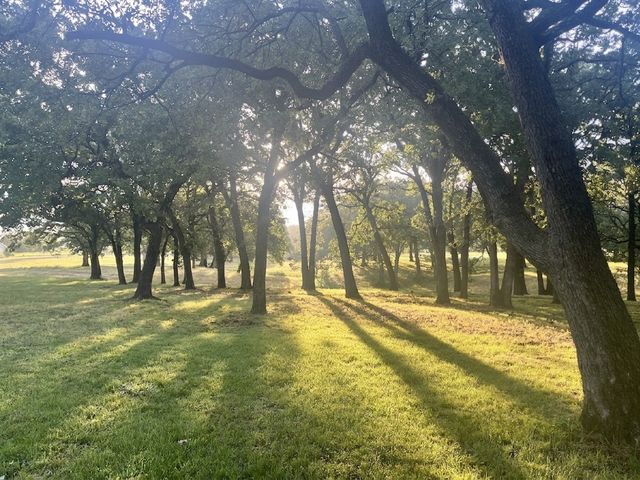 27659 US Highway 377, Gordonville, TX 76245