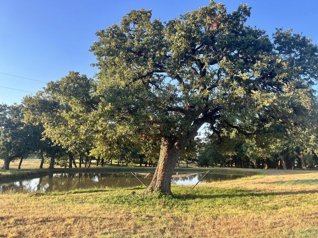 27659 US Highway 377, Gordonville, TX 76245