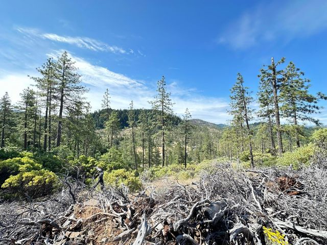 3300 Waldo Road, O'brien, OR 97534