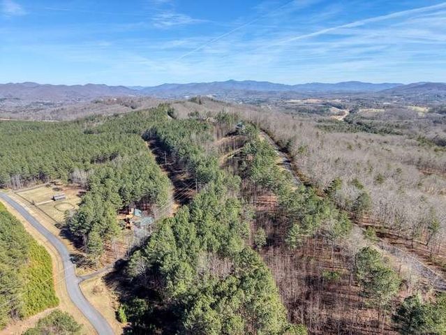 Lot 61 Thirteen Hundred, Blairsville, GA 30512