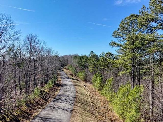 Lot 61 Thirteen Hundred, Blairsville, GA 30512