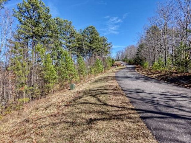Lot 61 Thirteen Hundred, Blairsville, GA 30512