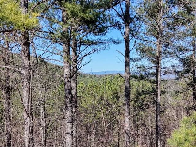Lot 61 Thirteen Hundred, Blairsville, GA 30512