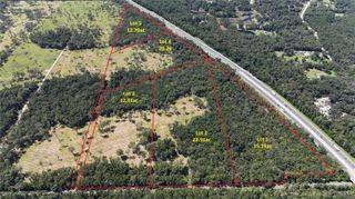 WOH #1 (15ac) NW 193RD ST, Micanopy, FL 32667