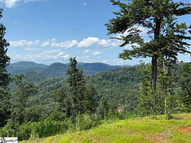 200 Chestnut Mountain Road, Travelers Rest, SC 29660